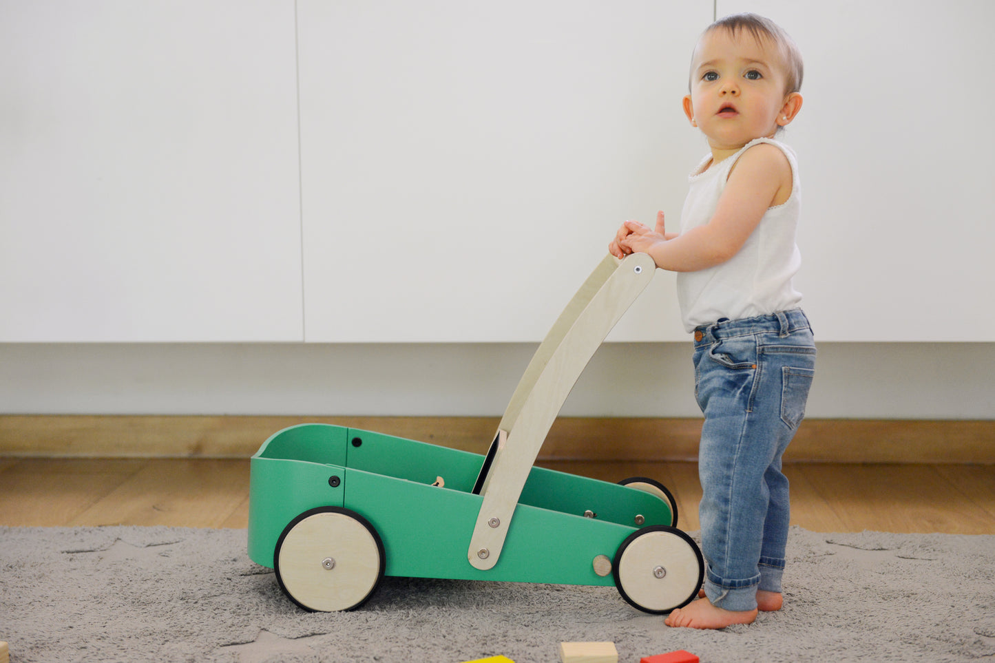 Carrito Andador - APEGA2