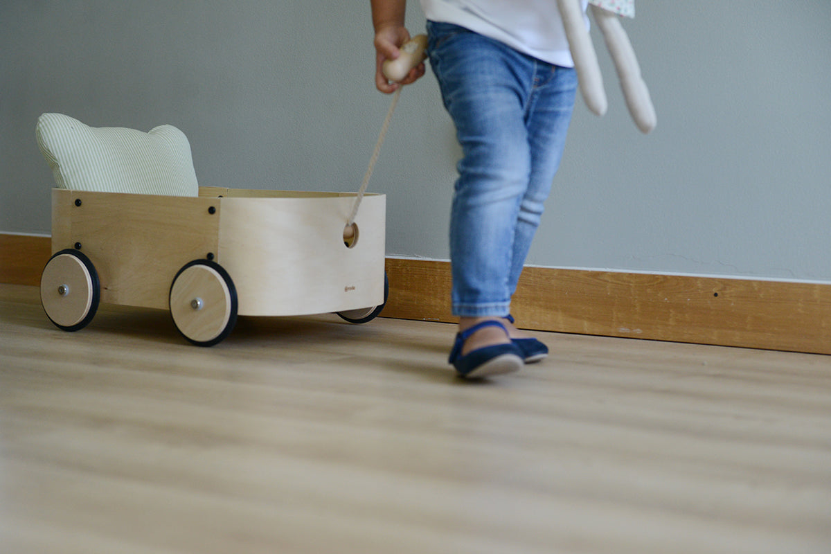 Carrito Lupe - APEGA2